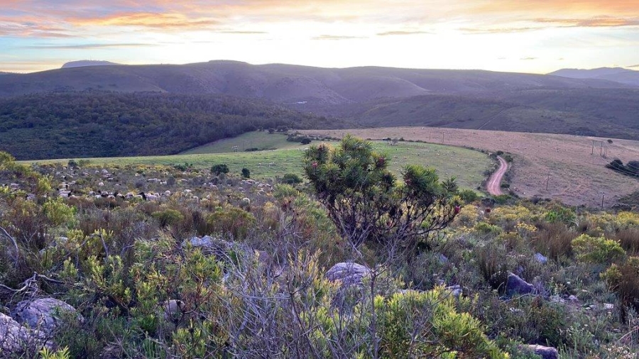 8 Bedroom Property for Sale in Elandsrivier Eastern Cape